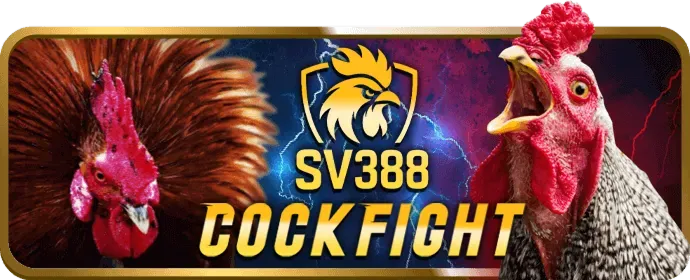 Giao diện người dùng thân thiện của 35win chính thức